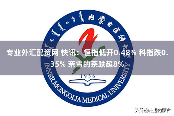 专业外汇配资网 快讯：恒指低开0.48% 科指跌0.35% 奈雪的茶跌超8%