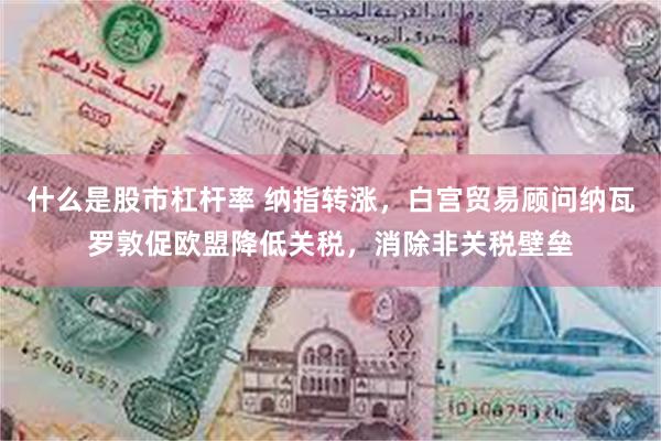 什么是股市杠杆率 纳指转涨，白宫贸易顾问纳瓦罗敦促欧盟降低关税，消除非关税壁垒