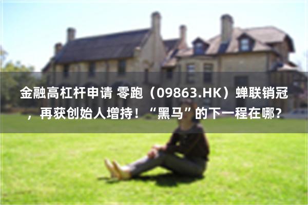 金融高杠杆申请 零跑（09863.HK）蝉联销冠，再获创始人增持！“黑马”的下一程在哪？