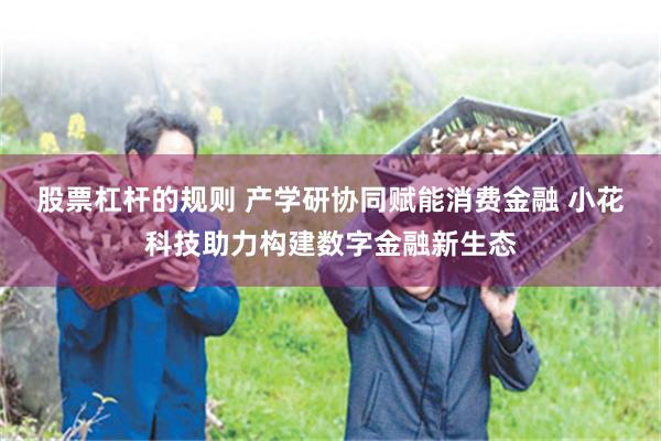 股票杠杆的规则 产学研协同赋能消费金融 小花科技助力构建数字金融新生态