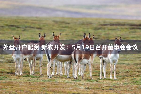 外盘开户配资 新农开发：5月19日召开董事会会议