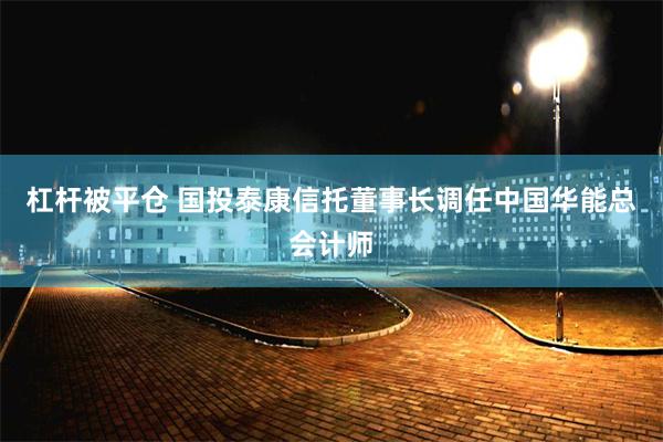 杠杆被平仓 国投泰康信托董事长调任中国华能总会计师