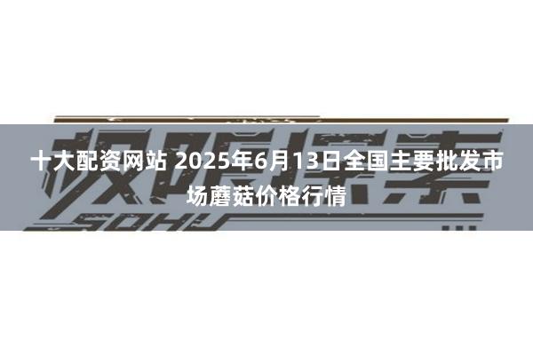 十大配资网站 2025年6月13日全国主要批发市场蘑菇价格行情