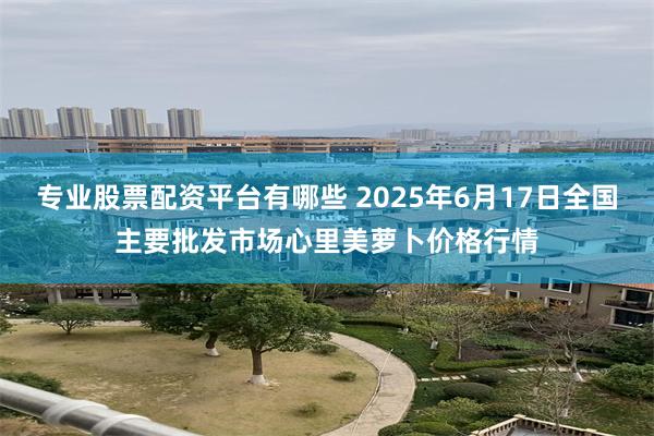 专业股票配资平台有哪些 2025年6月17日全国主要批发市场心里美萝卜价格行情