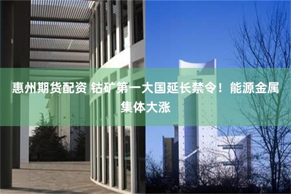 惠州期货配资 钴矿第一大国延长禁令！能源金属集体大涨
