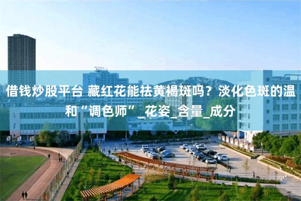 借钱炒股平台 藏红花能祛黄褐斑吗？淡化色斑的温和“调色师”_花姿_含量_成分
